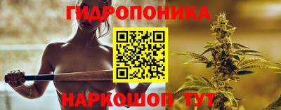 кокс Шебекино