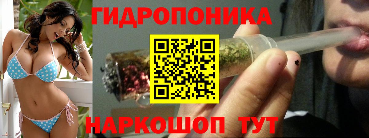 Бошки Шишки ГИДРОПОН Курск